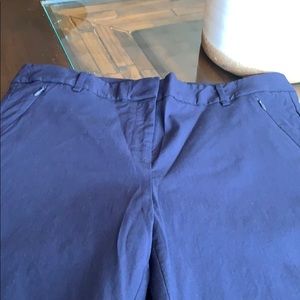 The Limited Exact Stretch pant